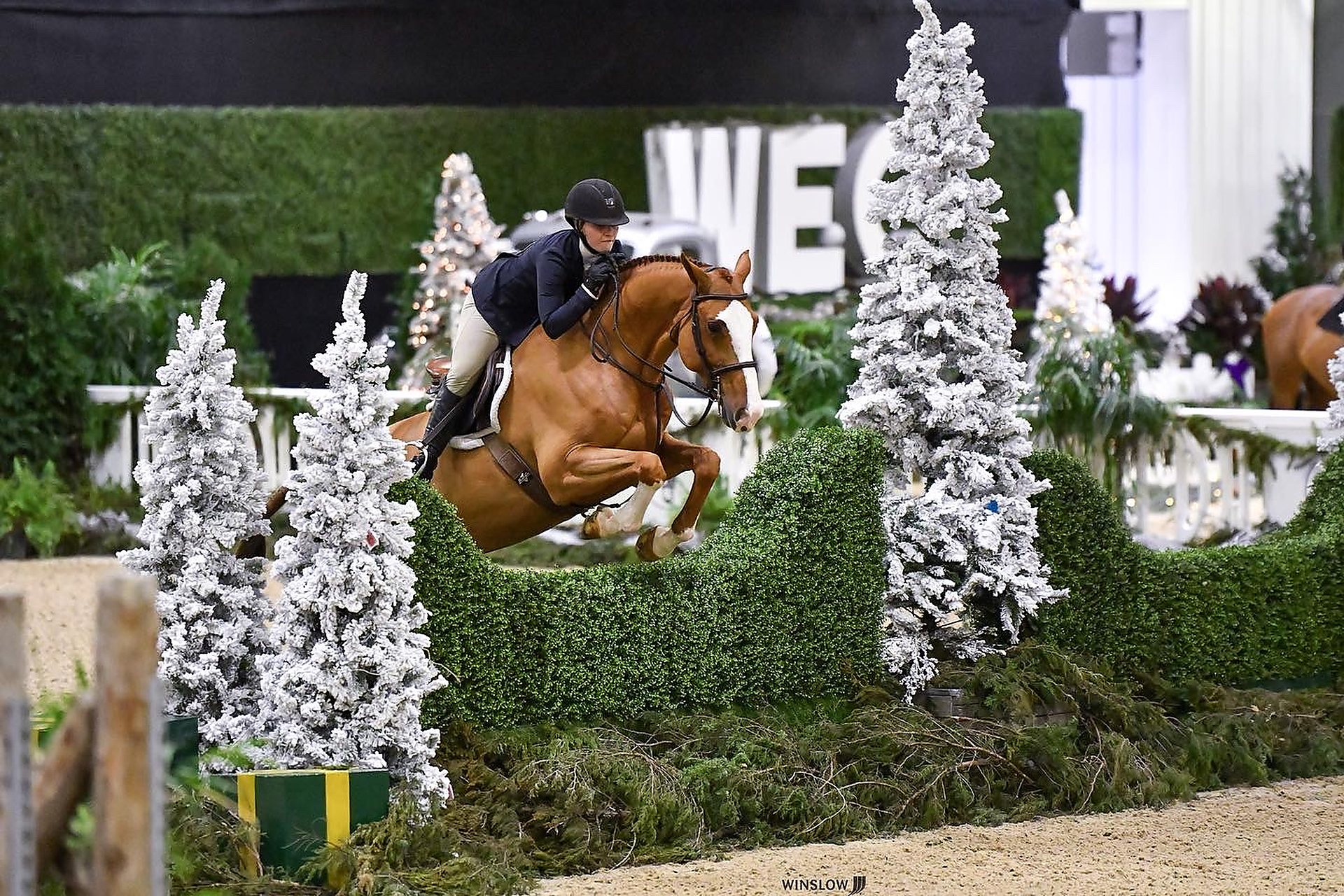 Leigh Kostmayer jumping Cruise in the holiday-decorated arena at World Equestrian Center