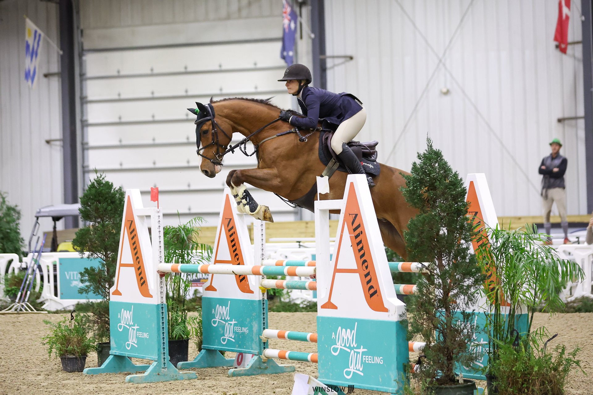 Leigh Kostmayer jumping Ollie at World Equestrian Center Ohio
